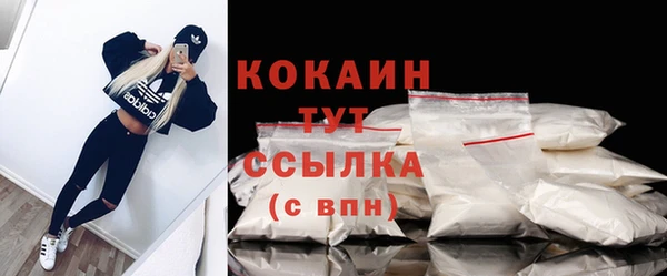 прущие грибы Абаза