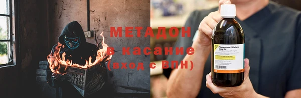 прущие грибы Абаза
