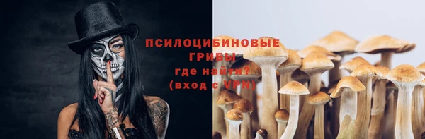 соль ск Алексин