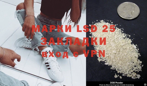 прущие грибы Абаза