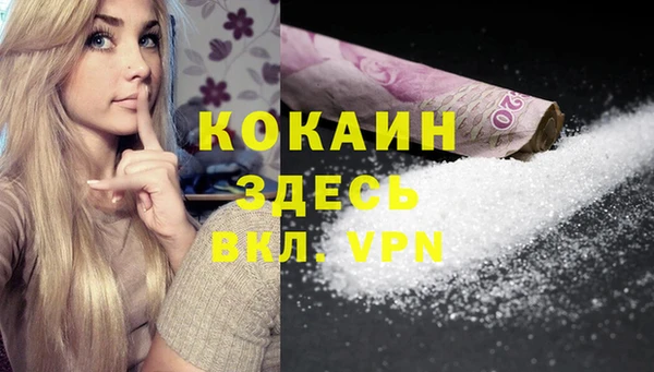 прущие грибы Абаза