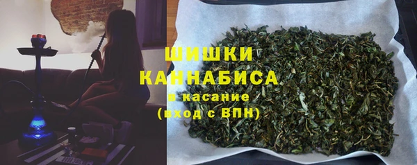 ПСИЛОЦИБИНОВЫЕ ГРИБЫ Алексеевка