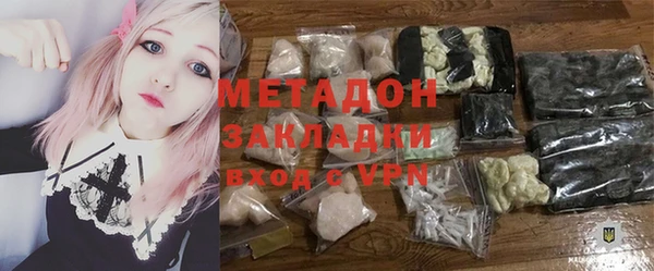прущие грибы Абаза