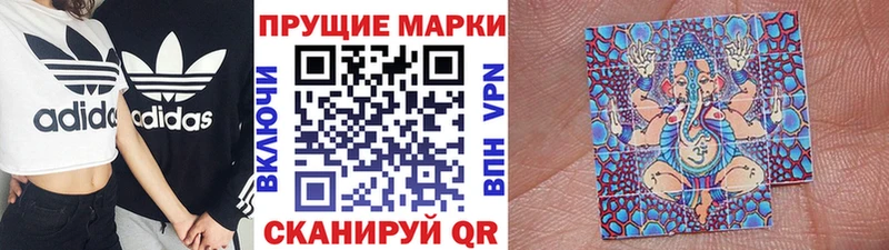 дарнет шоп  Шумиха  Марки NBOMe 1500мкг 