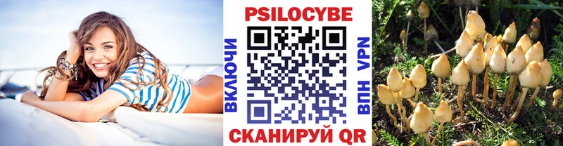 Галлюциногенные грибы MAGIC MUSHROOMS  Шумиха 